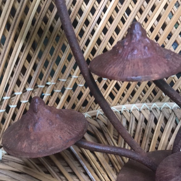 Anthropologie Whimsical Rustic Patina Iron Multiple Mushroom Tabletop Decor 🍄 - Picture 15 of 16